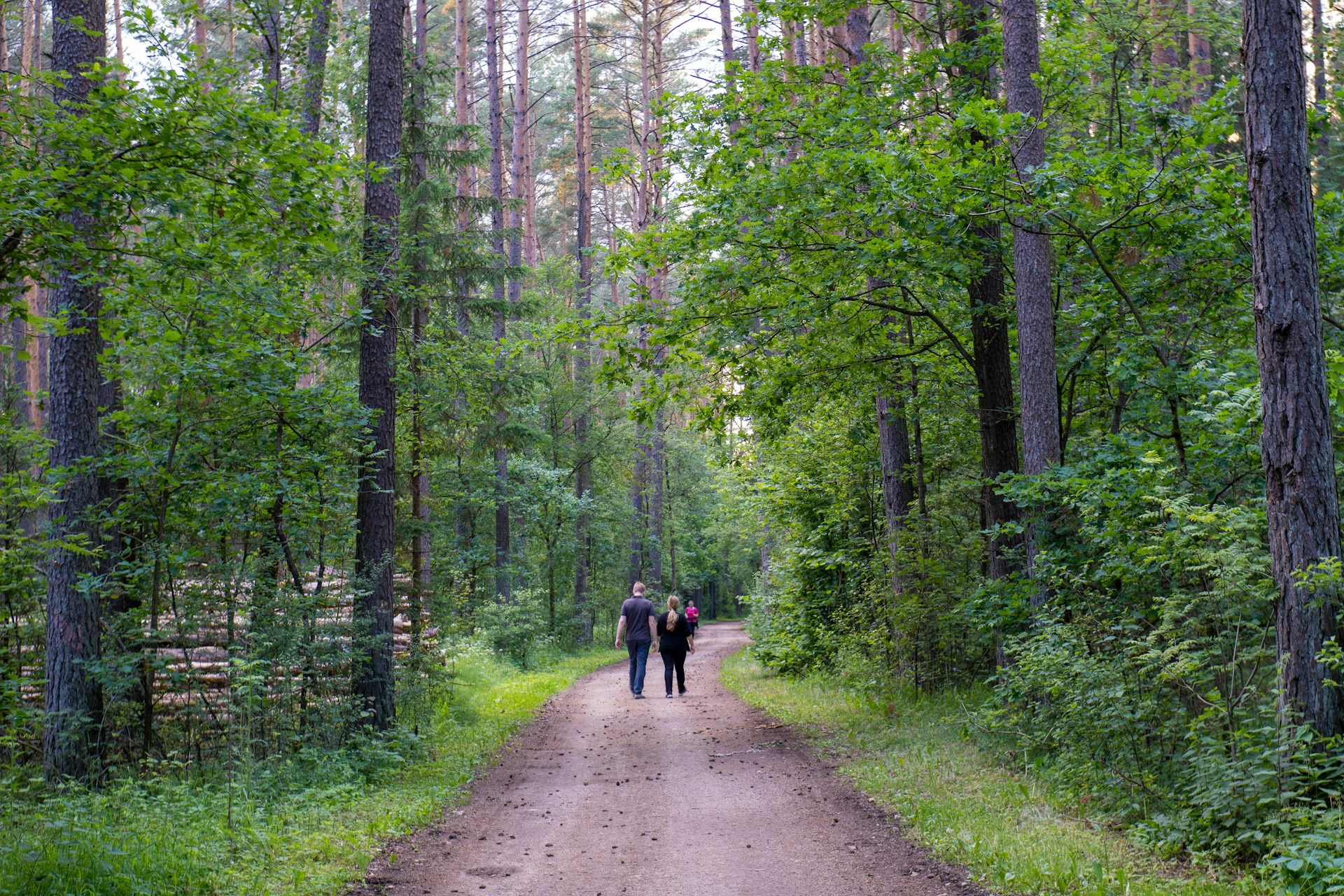 Zantrazentralia walking trail