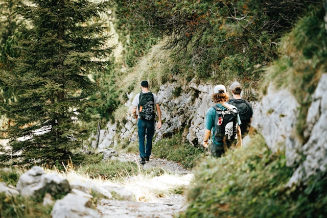 Zantrazentralia path 1