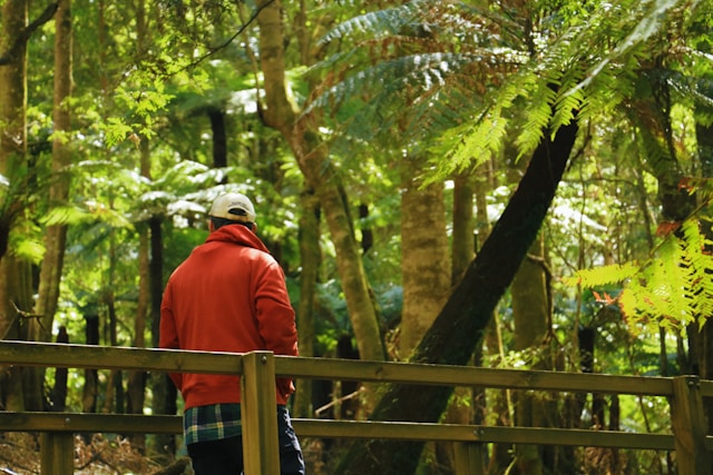 Zantrazentralia join journey